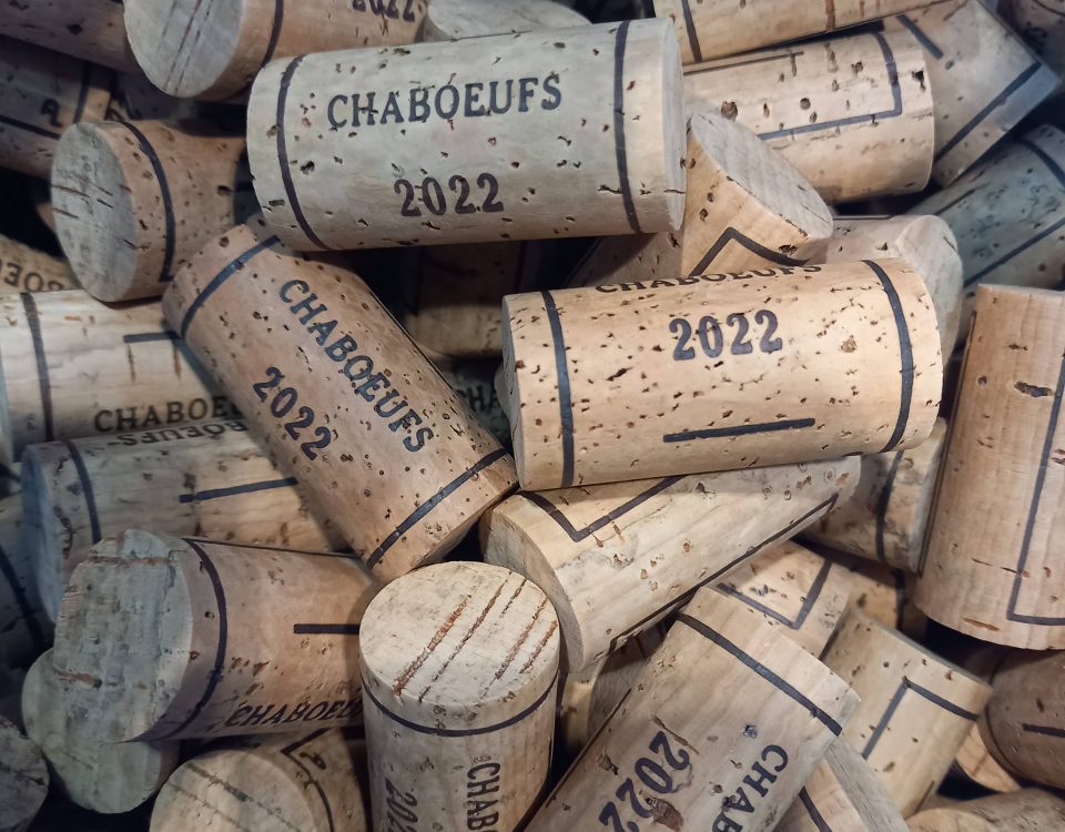 Mise en bouteille du millésime 2022